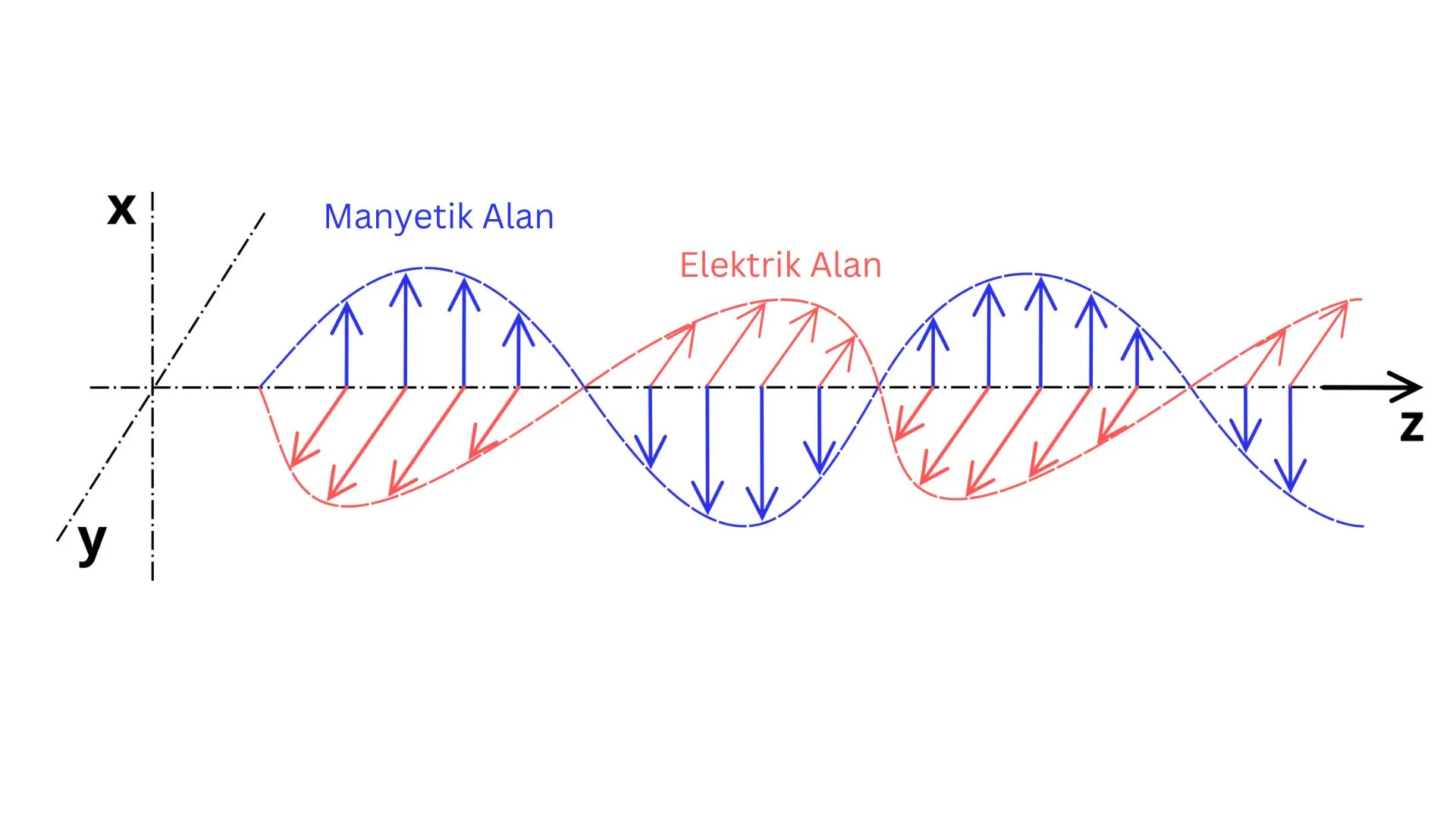 Elektromanyetik dalganın gösterimi bileşenleri cinsinden gösterimi.
