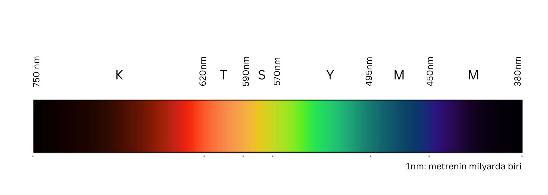 Elektromanyetik spektrumda görünür ışınlar aralığındaki renkler ve dalga boyları.